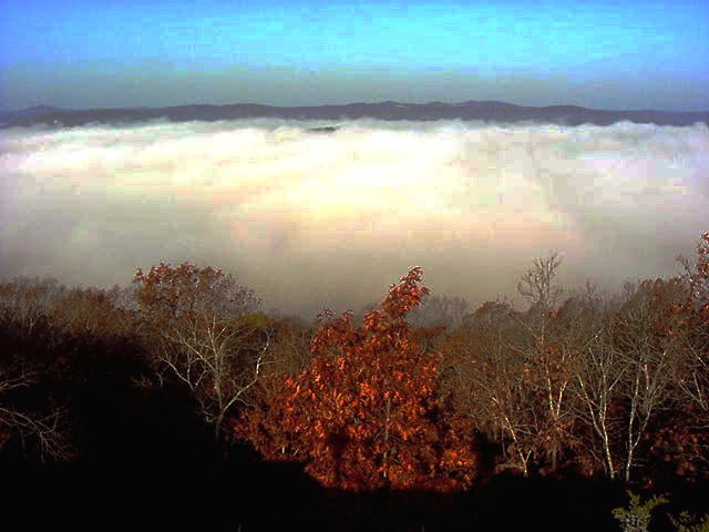 AWARD WINNING photo of view from my sofa named "MORNING COFFEE"